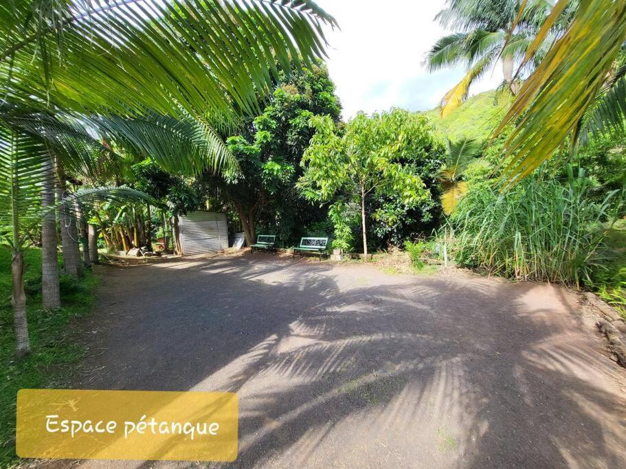 O Palmiste Rouge - Piscine Parking Jardin Petanque Centre Ville Dış mekan fotoğraf